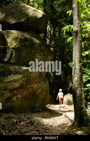 Une famille marche à travers une forêt tropicale, Finch Hatton, Queensland 4756, Australie Banque D'Images