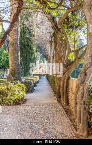 Beau jardin avec un trottoir en pierre avec des arbres sur les côtés, de buissons et de plantes à feuilles vertes sur une belle journée ensoleillée à Grenade Espagne Banque D'Images