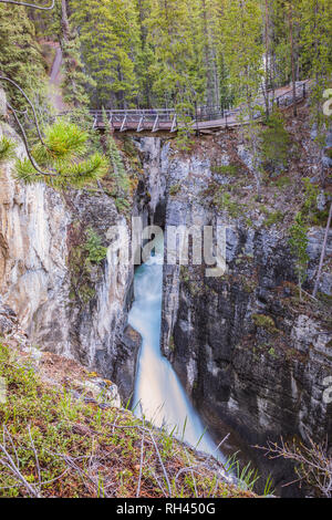 Sunwapta Falls dans le parc national Jasper, Alberta, Canada. L'Alberta, Canada. Banque D'Images