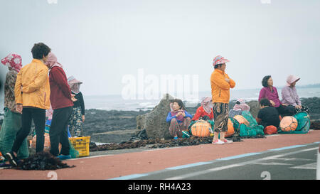 Les femmes âgées le séchage au soleil des algues sur le bord de la route dans l'île de Jeju Banque D'Images