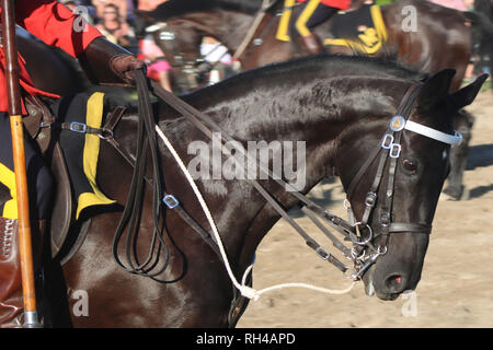 Grc carrousel Roseneath sur Banque D'Images