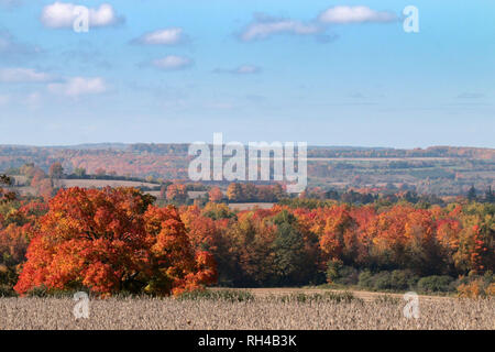 Automne Scenic Ontario Canada Balieborough Banque D'Images