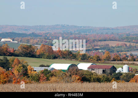 Automne Scenic Ontario Canada Balieborough Banque D'Images