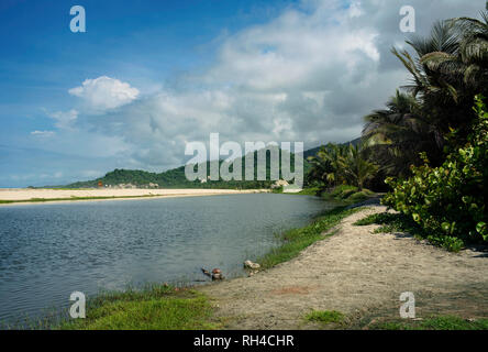 Lagune côtière et littoral tropical végétation à la plage pittoresque de récifs. Le Parc National Tayrona, Colombie. Sep 2018 Banque D'Images