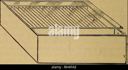 . British bee journal &AMP ; conseiller les apiculteurs. Les abeilles. Fig. 3. Le sirop bocal dans c'est l'un des pots de verre où '' bonbons sont vendus ; il détient plus de quatre livres de sirop, et les coûts deux pence, une couverture de Calico, doublé d'une épaisseur de tissu chevron si nécessaire, d'empêcher les abeilles de l'exécution ne^n l'imbécile tco rapide. Le bloc d'alimentation, dans lequel les jar sirop, s'est fait à partir de deux. Morceaux de f pouces bois, cinq pouces carrés, cloués ensemble en face des moyens du grain pour éviter le gauchissement ; dans chacun de ces n'est couper un trou circulaire,. que sur la face supérieure du bloc d'être grand assez pour prendre- Banque D'Images