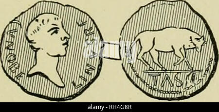 . Animaux britannique disparu dans les temps historiques : avec quelque compte de la faune sauvage. Mammifères éteintes, les mammifères du bétail. Bovins blancs sauvages. 219 Mais notre préoccupation n'est pas tant avec l'origine de la race des bovins blancs sauvages, dont un représentant des animaux survivent encore, comme avec l'liistory des troupeaux qui sont connus pour avoir été conservés dans différentes parties du pays, et dont certaines demi-douzaine existent encore à ce jour. De ces nous proposons de donner une certaine considération ; mais, avant de le faire, nous pouvons brièvement à l'oeil avis historique de l'existence de wild cattl Banque D'Images