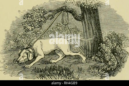 . Animaux britannique disparu dans les temps historiques : avec quelque compte de la faune sauvage. Mammifères éteintes, les mammifères du bétail. CONCLUSION. 209 liome en Grande-Bretagne était parmi les collines éloignées de c^aitli- ness. Pour le naturaliste il est un peu triste réflexion, que les animaux de la forêt et la chasse, maintenant connu uniquement de nom que les habitants d'autres pays, ont été une fois comme familier à nos ancêtres comme ils le sont à présent à la population de la télécommande royaumes qui ils fréquentent. L'homme a été en guerre contre ces habitants des forêts, et que l'appareil digestif après laquelle ils •une fois réclamé que leurs propres Banque D'Images