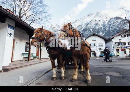 MITTENWALD, ALLEMAGNE - Décembre 2018 : un couple de chevaux harnachés brown debout dans rue de la vieille ville avec l'arrière-plan sur les Alpes Banque D'Images