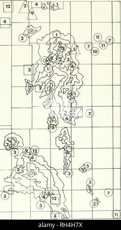 . Bulletin scientifique de l'Université Brigham Young. Biologie -- Périodiques. Sehils biologique, 'lo. 18, n° Bueedinc Uaptoiis l'écologie de l'Utah 17 r. 1 Golden Eagle 2 Grand Duc 3 Buse rouilleuse Buse à queue rousse 4 5 6 Buse de Swainson Faucon des prairies 7 Marsh Hawk 8 Cooper's hawk Épervier 9 10 Hibou des Chevêches des terriers 11  Raven 12 couples nicheurs J J J / non-couples nicheurs de particuliers. Fig. 7. Distrihufion niptor de la population reproductrice en 1970.. Veuillez noter que ces images sont extraites de la page numérisée des images qui peuvent avoir été retouchées numériquement pour plus de lisibilité - coloration et l'ap Banque D'Images