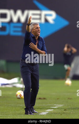 Buenos Aires, Argentine - le 25 janvier 2019 : Hernan Crespo (ancien joueur de football argentin) travaille maintenant comme DT en Banfield à Buenos Aires, Argentine Banque D'Images