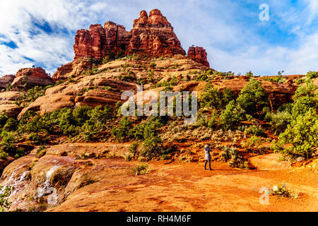 Femme de prendre une photo de la végétation sur Bell Rock, l'un des célèbres roches rouges entre le Village de Oak Creek et dans le nord de l'Arizona Sedona's C Banque D'Images