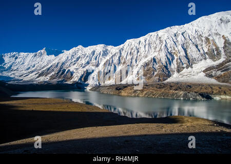 Vue panoramique sur le lac Tilicho au sommet couvert de neige de Kangsar Kang et les pentes du Tilicho Peak au lever du soleil Banque D'Images