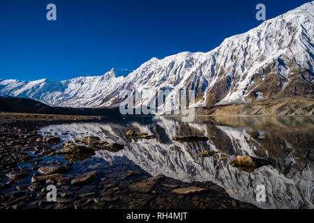 Vue panoramique sur le lac Tilicho, le sommet enneigé de Kangsar Kang et les pentes du Tilicho Peak, au lever du soleil Banque D'Images