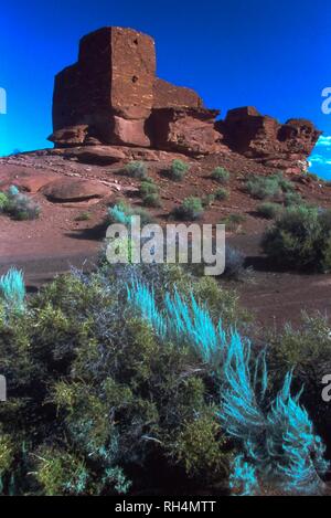 Niché entre le Painted Desert highlands ponderosa et de l'Arizona, Wupatki est un paysage de legs et d'anciens pueblos. Banque D'Images