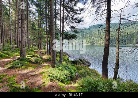 Black Lake glaciaire entourée par la forêt en Bohême du Sud Banque D'Images