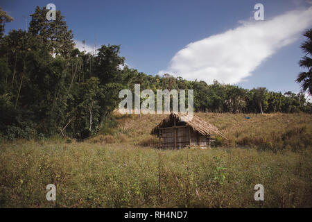 Voir l'agriculteur pays de paillote et prairie en forêt Banque D'Images