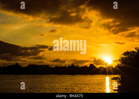 Lever de soleil spectaculaire derrière un lac en Floride. Arbres en silhouette. Banque D'Images