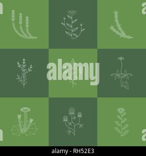 Les herbes médicinales, les icônes contour isolé sur fond vert Illustration de Vecteur