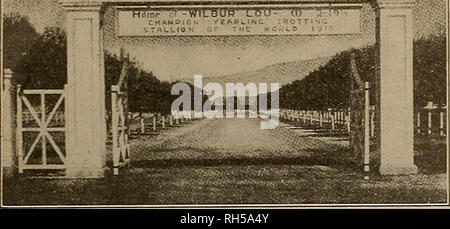 . Source et sportsman. Les chevaux. L'OBTENTEUR ET SPORTSMAN [Septembre 15, 1917 et la ferme Chevaux à Vendre-une occasion rare d HBBSBts - - ; / HEMET STOCK FARM. L'UN DES PLUS COMPLETS ET ATTRACTIFS RACE- ment des usines aux États-Unis. Comme inégalée aux changements climatiques. L'un des plus sain dans le sud de la Californie. Une excellente piste de 800 mètres. Bons pâturages et enclos. Granges et écuries spacieuses. Beaux bâtiments et le sol fertile,-un endroit idéal où vous pouvez former des chevaux le long de l'année. Les exécuteurs de la succession de feu W. F. Whittier ont décidé de placer la ferme et les chevaux o Banque D'Images