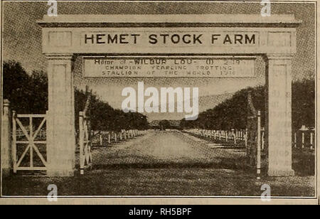. Source et sportsman. Les chevaux. Samedi 9 Juin, 1917] L'OBTENTEUR ET SPORTSMAN 13 FERME ET CHEVAUX À VENDRE. L'UN DES PLUS COMPLET ET intéressant l'élevage des chevaux aux États-Unis. Comme inégalée aux changements climatiques. L'un des plus sain dans le sud de la Californie. Une excellente piste de 800 mètres. Bons pâturages et enclos. Granges et écuries spacieuses. Beaux bâtiments et le sol fertile,-un endroit idéal où vous pouvez former des chevaux le long de l'année. Les exécuteurs de la succession de feu W. F. Whittier ont décidé de placer la ferme et les chevaux sur le marché. Une liste PARTIELLE DES CHEVAUX : WIL Banque D'Images