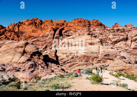 Red Rock Canyon, Las Vegas, Nevada, USA, Banque D'Images