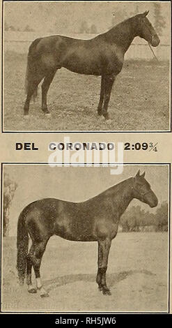 . Source et sportsman. Les chevaux. L'OBTENTEUR ET SPORTSMAN [Samedi, 14 mars, 1908.. CARLOKIN^ 2:13,. Veuillez noter que ces images sont extraites de la page numérisée des images qui peuvent avoir été retouchées numériquement pour plus de lisibilité - coloration et l'aspect de ces illustrations ne peut pas parfaitement ressembler à l'œuvre originale.. San Francisco, Californie : [s. n. ] Banque D'Images