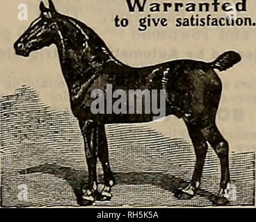 . Source et sportsman. Les chevaux. Samedi 28 Septembre, 1912.] LE BRDBDBR tefero ET SPORTSMAN 13 JE CHARGE D'USINE À Laconner, Washington, 8 septembre 1912, WIN III Moyenne générale élevée 194 x 2 par M. L. H. Reid, en utilisant les coquilles avec "steel où l'acier appartient." LA CARTOUCHE PETERS CO., Cincinnati, O. Côte du Pacifique Direction générale : 608-10-12 Howard Street, San Francisco, Cal, STOCK PARADE AU STATE FAIR. La plus grande congrégation de sang- ed chevaux et bétail jamais vu à Cali- fornia a été présenté samedi dernier à la dernière parade stock devant les tribunes sur la race course à l'Agricu Banque D'Images