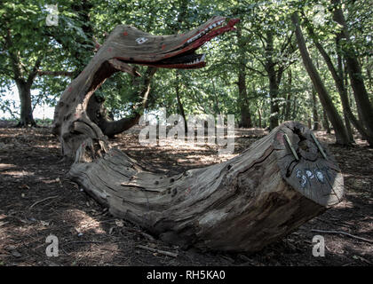 Un regard sur les arbres Banque D'Images