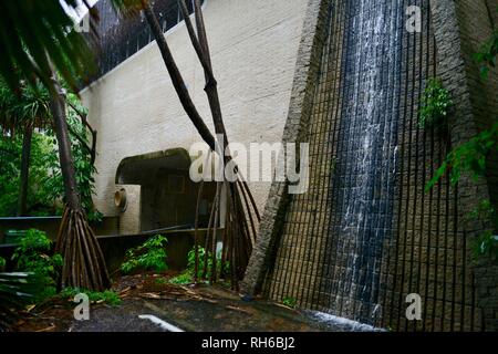 Un 1 en crue centennale à Townsville, Queensland, Australie, en janvier et février 2019 Banque D'Images