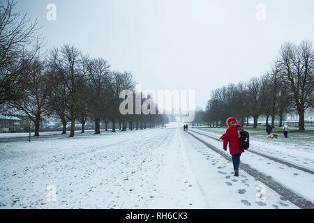 Windsor, Royaume-Uni. 1er février 2019. Une nuit de neige, en face du château de Windsor sur la longue promenade à Windsor Great Park. Plus de neige devrait tomber au cours de la matinée dans la région de Berkshire et des dizaines d'écoles restera fermé pour la journée. Credit : Mark Kerrison/Alamy Live News Banque D'Images