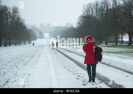 Windsor, Royaume-Uni. 1er février 2019. Une nuit de neige, en face du château de Windsor sur la longue promenade à Windsor Great Park. Plus de neige devrait tomber au cours de la matinée dans la région de Berkshire et des dizaines d'écoles restera fermé pour la journée. Credit : Mark Kerrison/Alamy Live News Banque D'Images