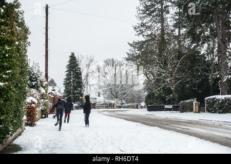 Reading, UK. 1er février 2019. Météo France : la neige tomba lourdement la nuit dans les rues de quitter la lecture et les routes blanches de neige fondante. Matthieu Ashmore/Alamy Live News Banque D'Images