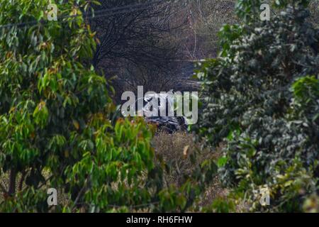 Le 1er février 2019 - Bangalore, Karnataka, Inde - Le moteur de l'avion vu sur le terrain après l'accident..Le Mirage 2000 trainer avion s'est écrasé à l'aéroport pendant les heures de matin HAL laissant 2 pilotes sont morts, Siddhartha Negi et Samir Abrol. La cause exacte de l'accident n'a pas encore été identifié. (Crédit Image : © Meghana Sastry/SOPA des images à l'aide de Zuma sur le fil) Banque D'Images