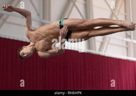 Plymouth, au Royaume-Uni. 1er février 2019. Ross Beattie - EDC dans Men's 1M, lors de la finale de la Coupe National de plongée 2019 à Plymouth Life Centre le vendredi, 01 février 2019. PLYMOUTH EN ANGLETERRE. (Usage éditorial uniquement, licence requise pour un usage commercial. Aucune utilisation de pari, de jeux ou d'un seul club/ligue/dvd publications.) Crédit : Taka G Wu/Alamy News Banque D'Images