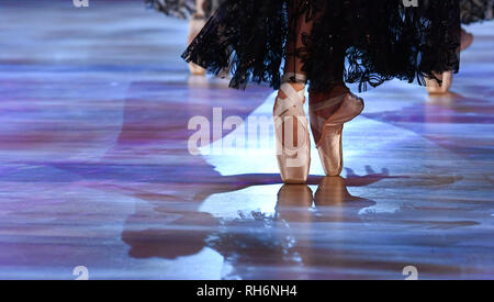 Dresde, Allemagne. 06Th Feb 2019. Le Ballet Semperoper effectue à la 14e boule Semperoper. La devise de cette année, la balle est 'Fascination Dresden - rêves'. Credit : Jens Kalaene Zentralbild-/dpa/dpa/Alamy Live News Banque D'Images