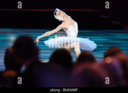 Dresde, Allemagne. 06Th Feb 2019. Svetlana Zacharova apparaît à la 14e opéra Semper Ball. La devise de cette année, la balle est 'Fascination Dresden - rêves'. Credit : Britta Pedersen/dpa-Zentralbild/dpa/Alamy Live News Banque D'Images