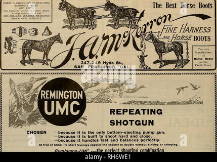 . Source et sportsman. Les chevaux. L'OBTENTEUR ET SPORTSMAN {Samedi, 27 mai 1911. L'habillement. Médicaments cheval des couvertures, des peignoirs et des whips. Agent exclusif de la Californie jusqu'à l'écran étalon. Un grand assortiment de colliers de chien des floes. Laisses. Médicaments et fournitures de chenil. Le meilleur cheval des bottes. -Parce que c'est le seul bas-éjection pistolet de la pompe. -Parce qu'il est construit pour tirer fort et fermer, -parce qu'il gère parfaitement les soldes et rapide. Au piège ou aveugle, son effet de levier court permet au tireur au lit sans se vriller ou sertissage. pem/ngto/i-uA/c -la parfaite combinaison de prise de vue. - REMINGTON ARMS UNI Banque D'Images