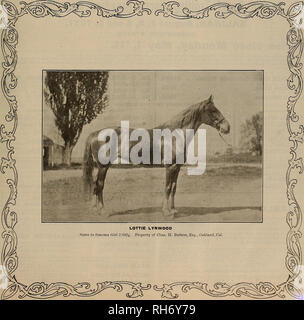 . Source et sportsman. Les chevaux. "VOLUME LVIII. N° 17. SAN FRANCISCO, samedi 29 avril, 1911. 3,00 $ abonnement par année. Veuillez noter que ces images sont extraites de la page numérisée des images qui peuvent avoir été retouchées numériquement pour plus de lisibilité - coloration et l'aspect de ces illustrations ne peut pas parfaitement ressembler à l'œuvre originale.. San Francisco, Californie : [s. n. ] Banque D'Images