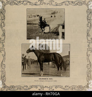 . Source et sportsman. Les chevaux. VOLUME LVII. N° 19. SAN FRANCISCO, samedi. Le 12 novembre 1910. Abonnement- ?3,00 par année.. Veuillez noter que ces images sont extraites de la page numérisée des images qui peuvent avoir été retouchées numériquement pour plus de lisibilité - coloration et l'aspect de ces illustrations ne peut pas parfaitement ressembler à l'œuvre originale.. San Francisco, Californie : [s. n. ] Banque D'Images