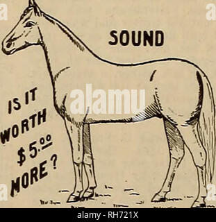 . Source et sportsman. Les chevaux. L'OBTENTEUR ET SPORTSMAN [samedi 4 novembre, 1911. GombauWs Caustio le sapin baumier et le plus sûr plus grandes mondes 9$ Remède vétérinaire jm a des imitateurs mais pas de concurrents ! Coffre-fort, rapide et positive. Remplace tous les sapins ou d'un bistouri électrique. Une aide précieuse pour un traitement pour le fondateur, ind ?bouffées, le muguet, la diphtérie, les maladies de peau, RINGBONE, conjonctivite, Sweeny, *. Les tumeurs osseuses, la boiterie DE SPAVIN, TRIMESTRE fissures, rayures, DONNER LE MAL, LES PARASITES. Supprime les grappes de défauts, des attelles. Les tendons du jarret tendu, plafonné. Sécuritaire pour tous. Nous garantissons qu'une cuillerée à soupe de Canstlo Banque D'Images