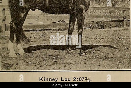 . Source et sportsman. Les chevaux. [Samedi 25 février 1911.] L'OBTENTEUR ET SPORTSMAN S P Hemet Stock Farm. J'•-"- :•• • :.•••• : : Le premier ministre à l'étalon Hemet Stock Farm cette année est le titulaire de l'enregistrement de course de trot la plus rapide de tout cheval debout pour le service public sur cette côte. Il a fait l'enregistrement dans la deuxième chaleur d'une course dans laquelle il y avait 13 partants pour une bourse de 5 000 $ et après avoir gagné la première épreuve en 2:09. C'est tout à fait une distinction, mais il et l'Hemet ferme ont un autre qui soit digne de remarque. Dans une salle attenante, wc séparés il y a un fils de ce cheval que l'année dernière à Ph Banque D'Images