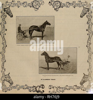 . Source et sportsman. Les chevaux. VOLUME LVIII. N° 3. SAN FRANCISCO, le samedi 21 janvier 1911. Abonnement- ?3,00 par année.. Veuillez noter que ces images sont extraites de la page numérisée des images qui peuvent avoir été retouchées numériquement pour plus de lisibilité - coloration et l'aspect de ces illustrations ne peut pas parfaitement ressembler à l'œuvre originale.. San Francisco, Californie : [s. n. ] Banque D'Images