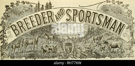 . Source et sportsman. Les chevaux. VOLUME XLIX. N° 13. Samedi, 20 octobre, 1906. 3,00 $ par année d'abonnement (gj- ©-. Veuillez noter que ces images sont extraites de la page numérisée des images qui peuvent avoir été retouchées numériquement pour plus de lisibilité - coloration et l'aspect de ces illustrations ne peut pas parfaitement ressembler à l'œuvre originale.. San Francisco, Californie : [s. n. ] Banque D'Images