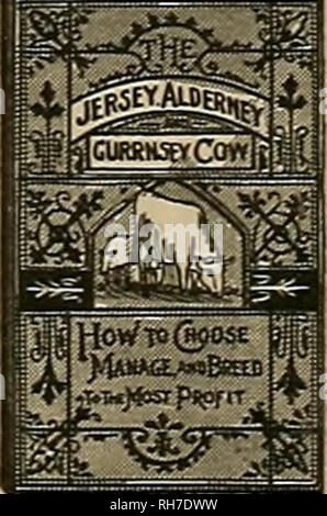 . Source et sportsman. Les chevaux. JERSEY, Guernesey, Aurigny et vaches par "Willis P. Hazard. Leur histoire, la nature et la gestion. Montrant comment choisir une bonne vache ; comment nourrir, de gérer, de lait et d'élever à la plus lucratif. Édité à partir des écrits d'Edward P. Fowler, George E. Waring "Jr., Charles L. Sharp- moins, le professeur John Gamgee, Fr. Guénon et d'autres. Illustré de gravures et des diagrammes, etc. relié en pleine toile. Taille, 5 x 8 pouces|£ 81.15. Source et sportif, 36 GEARY ST., S. F.. Veuillez noter que ces images sont extraites de la page numérisée des images qui peuvent avoir été Banque D'Images