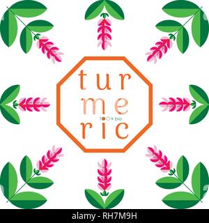 Le curcuma, le curcuma. Plante avec une fleur. Design d'emballage 100 % organic Illustration de Vecteur