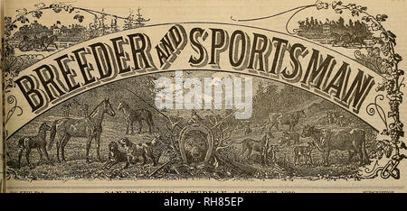 . Source et sportsman. Les chevaux. Vingt-quatre pages. Â &AMP ;-. Tome XXIII. N° 9. - | :'o. BUSH 313 STBEET. SAN FRANCISCO, SATTTEDAY, août 26,1893 5 DOIXAKS D'ABONNEMENT D'UN AN LE NAPA JUSTE. derniers jours de la réunion la plus réussie jamais tenue à cet endroit.Annonce âMore- ditions de la liste. mi cinquième DAYâFRIDAY, 18 août. La foule de la ville est arrivé à temps pour voir le ballon s'scenaion et obtenir une idée juste de la glorieuse climat de Napa. ""Ou près de huit cents pieds l'aéronaute frêle être ascensionné- ore l'emmena en dehors des courants supérieure la ligne frontière f la piste de course dans Banque D'Images