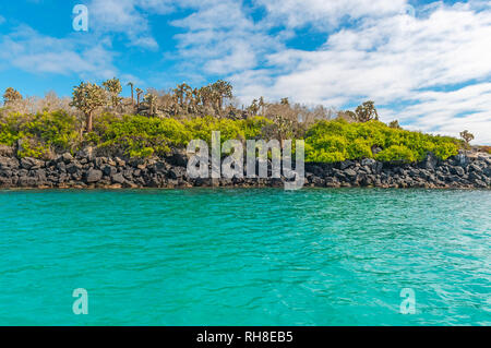Paysage de la mer turquoise et le littoral de l'île de Santa Fe à l'intérieur du parc national des îles Galapagos, l'océan Pacifique, l'Equateur. Banque D'Images