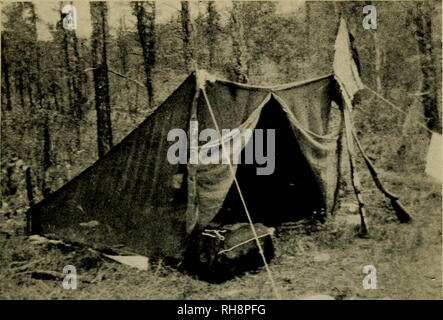 . Le livre des garçons de la chasse et de la pêche ;. Pêche, chasse, camping. Les auteurs "logement parfait tente c'est la tente décrite dans le présent chapitre ; 3 personnes, pèse 3 livres ; facilement mettre en place, avec deux longs et deux courts de poteaux, en moins de dix minutes. Une amende pour un garçon tente de chasse ou de la pêche. --'W.. Veuillez noter que ces images sont extraites de la page numérisée des images qui peuvent avoir été retouchées numériquement pour plus de lisibilité - coloration et l'aspect de ces illustrations ne peut pas parfaitement ressembler à l'œuvre originale.. Miller, Warren H. (Warren Hastings), b. 1876. New York, Geor Banque D'Images