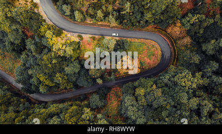 Vue aérienne de voiture roulant à travers la forêt sur route de campagne. "Chao da Ribeira", l'île de Madère, Portugal Banque D'Images