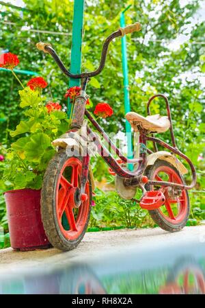 Rusty vélo enfant dans un jardin avec des fleurs rouge juste à côté de l'eau Banque D'Images